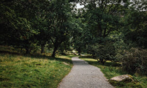 Taith Gerdded Meddylgarwch: Rhaeadr Fawr