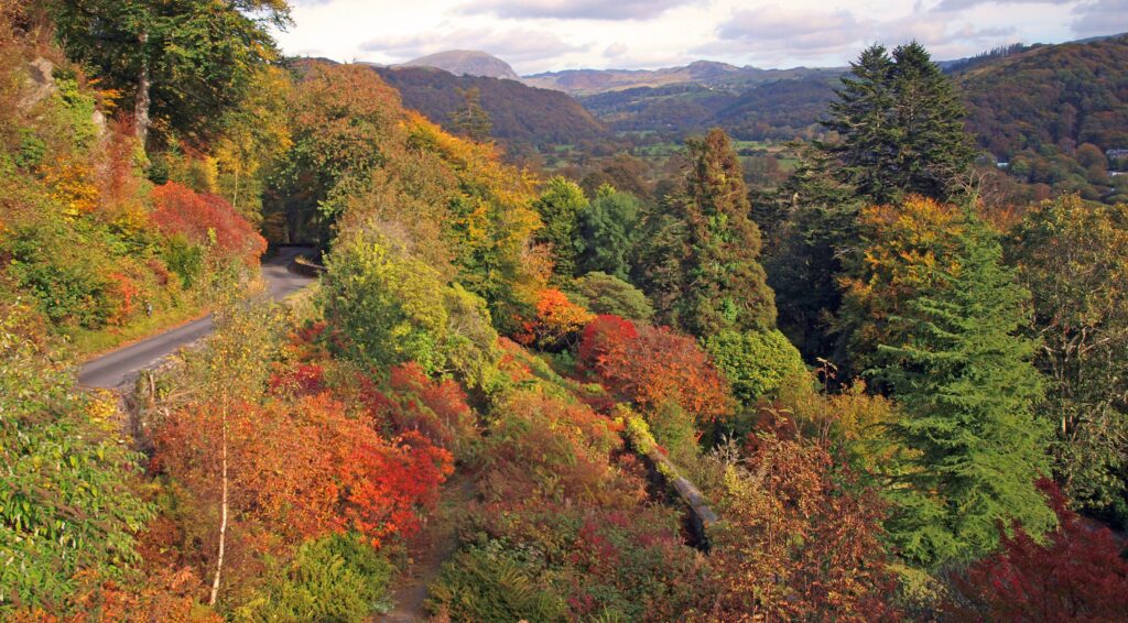 Diweddariad ar ddyfodol Plas Tan y Bwlch