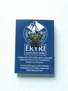 Bathodyn Pin