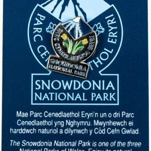 Snowdonia National Park logo enamel pin badge