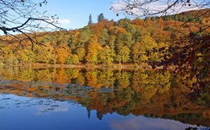 Gweithdy Celf Natur yn Llyn Mair