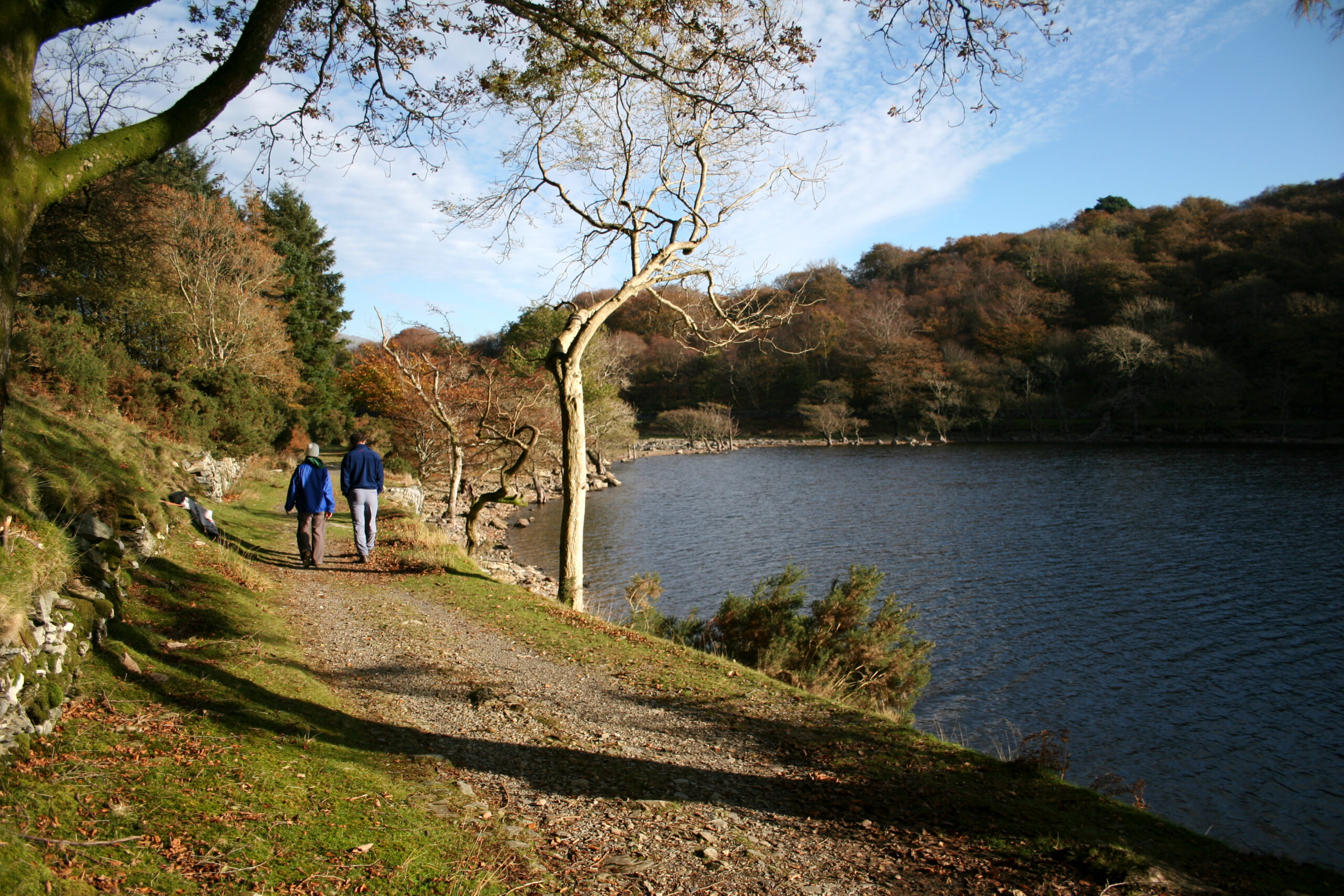 An image of two walkers walking on the path by the side of Llyn Cynwch 