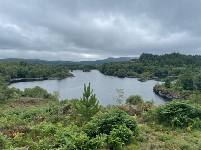 Llyn Elsi surrounded by woodland on a cloudy day.