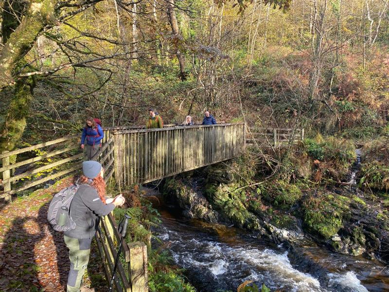 Taith Gerdded Meddylgarwch: Ceunant Cynfal