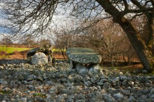 Taith Gerdded Meddylgarwch: Dyffryn Ardudwy