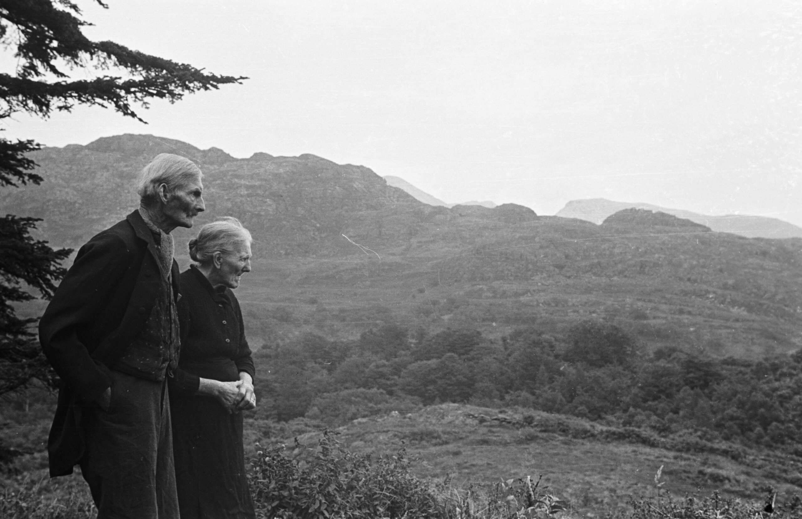 Iestyn Tyne yn cyflwyno Carneddi