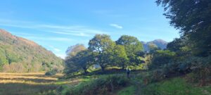 Taith Gerdded Meddylgarwch: Nantmor