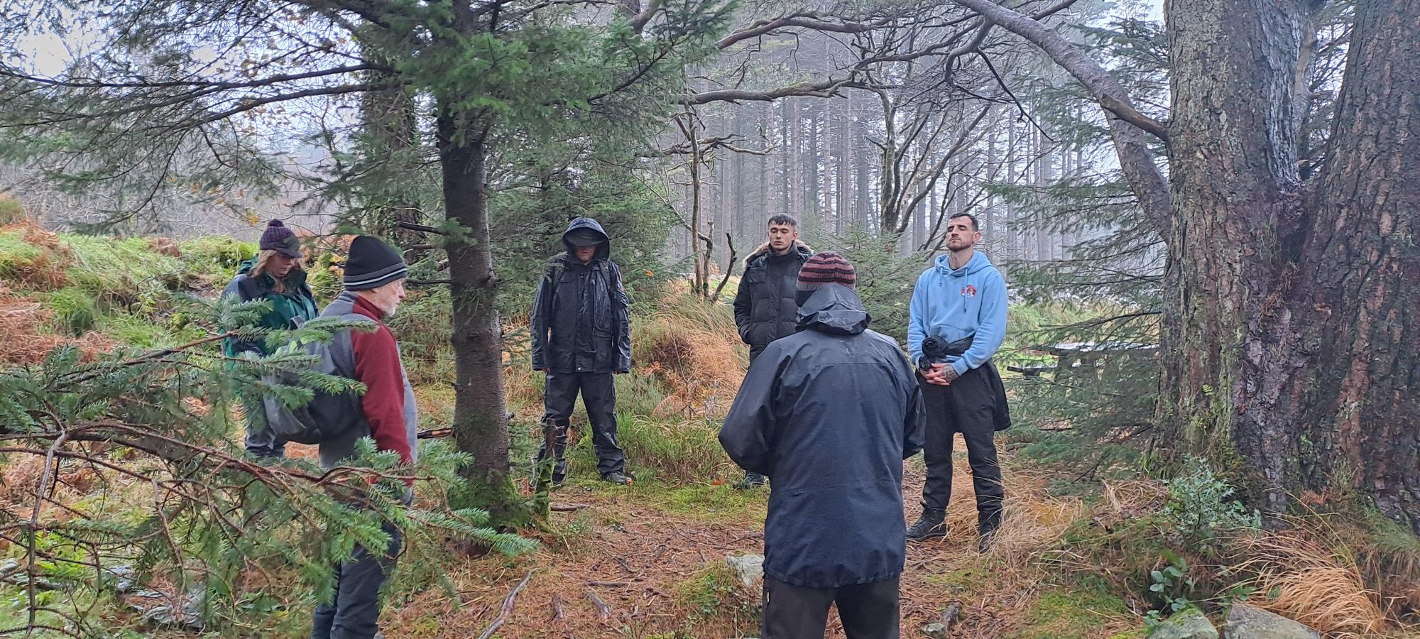 Mindfulness Walks at Coedwig Beddgelert