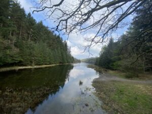 Taith Gerdded Meddylgarwch: Llyn y Parc, Betws y Coed