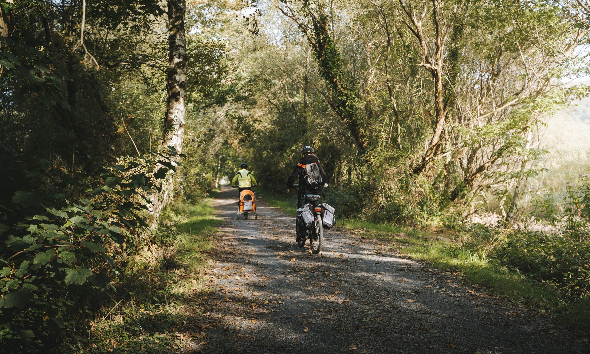 Cyclists on the Mawddach Trail