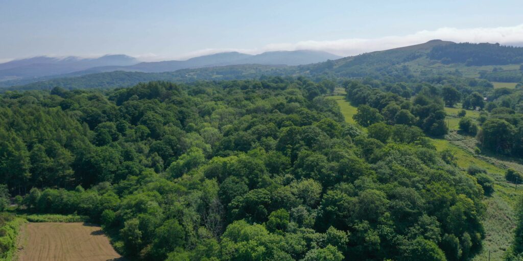 Awdurdod y Parc Cenedlaethol yn cyhoeddi COPA2, yr ail gynhadledd hinsawdd ieuenctid yn Eryri