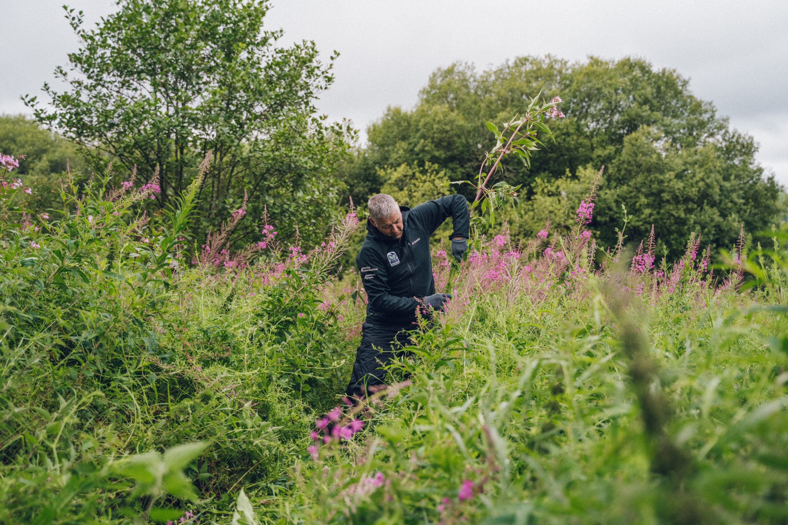 Warden working to getting rid of invasise species