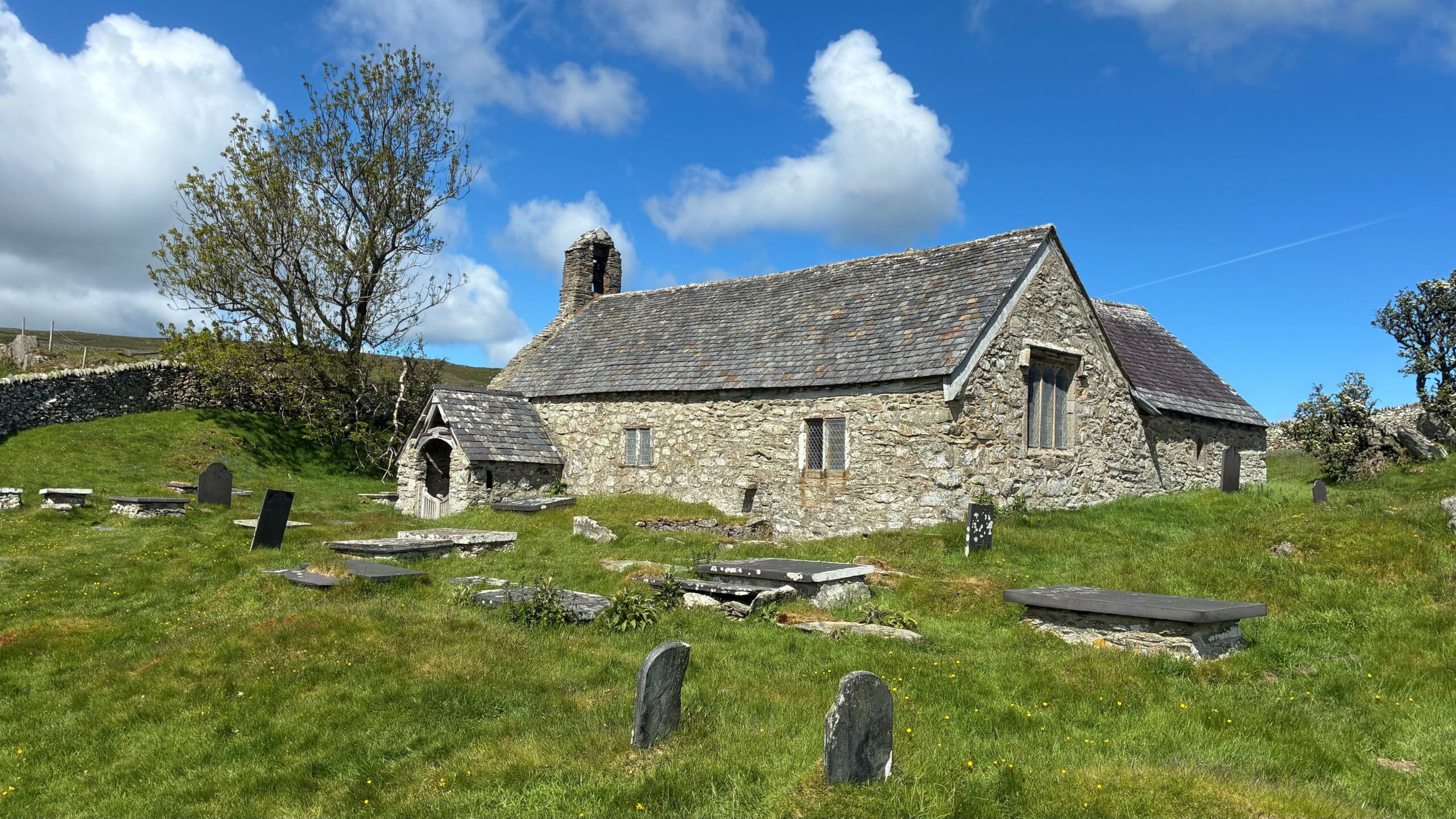 Taith rowen