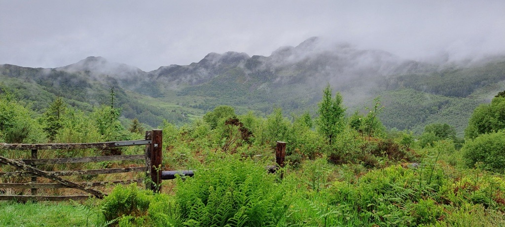 Taith Gerdded Meddwlgarwch – Llyn Geirionydd a Crafnant